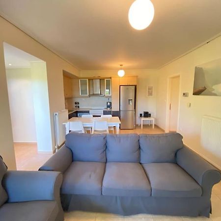Cozy 2 Room Apartment With Garden Near Athens Air-Port Луца Экстерьер фото